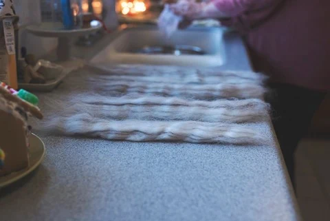 Goat wool laid out - Bearded Lady Soap Factory