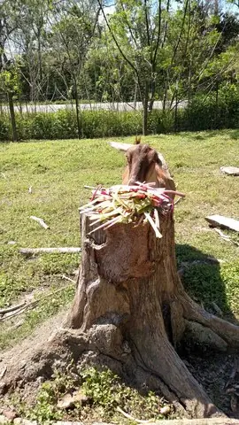 Goat easter - Bearded Lady Soap Factory