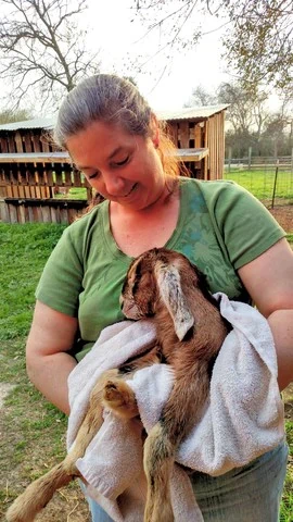 Laura with baby goat - Bearded Lady Soap Factory