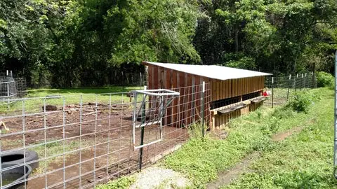 Goat pen - Bearded Lady Soap Factory