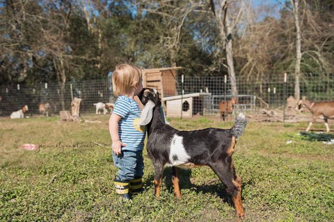 Owen and baby goat - Bearded Lady Soap Factory